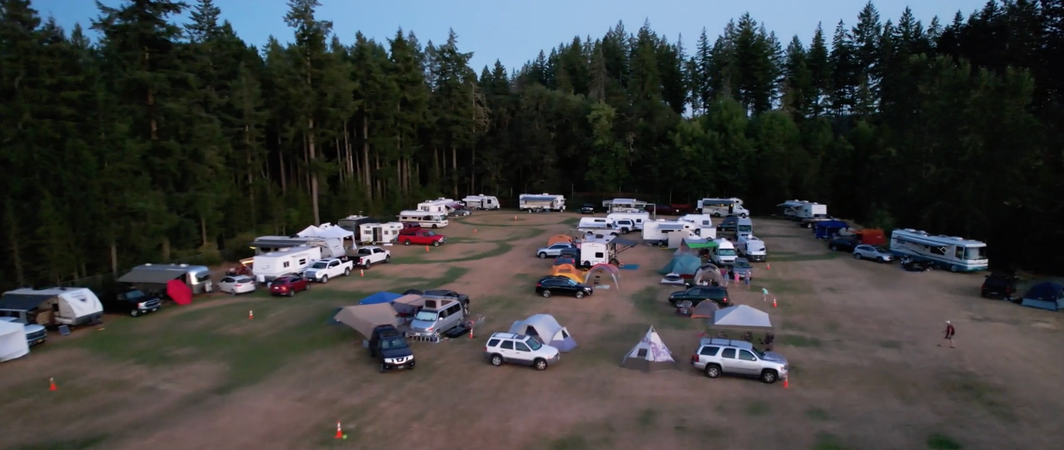 Bluegrass From The Forest