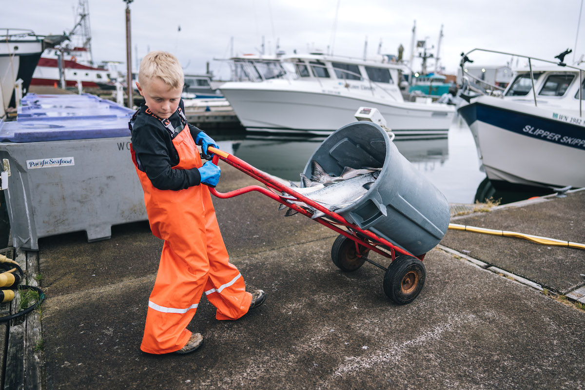 Westport's Fresh Catch