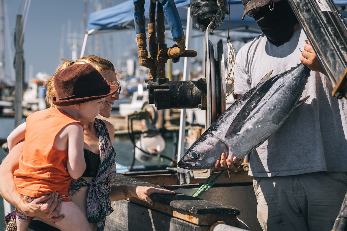 Fishing In Westport