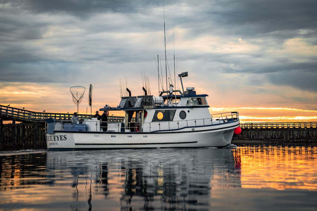 Westport Charter Fishing