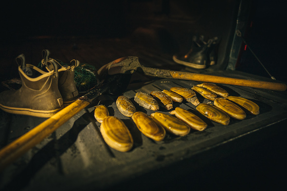 Razor Clamming