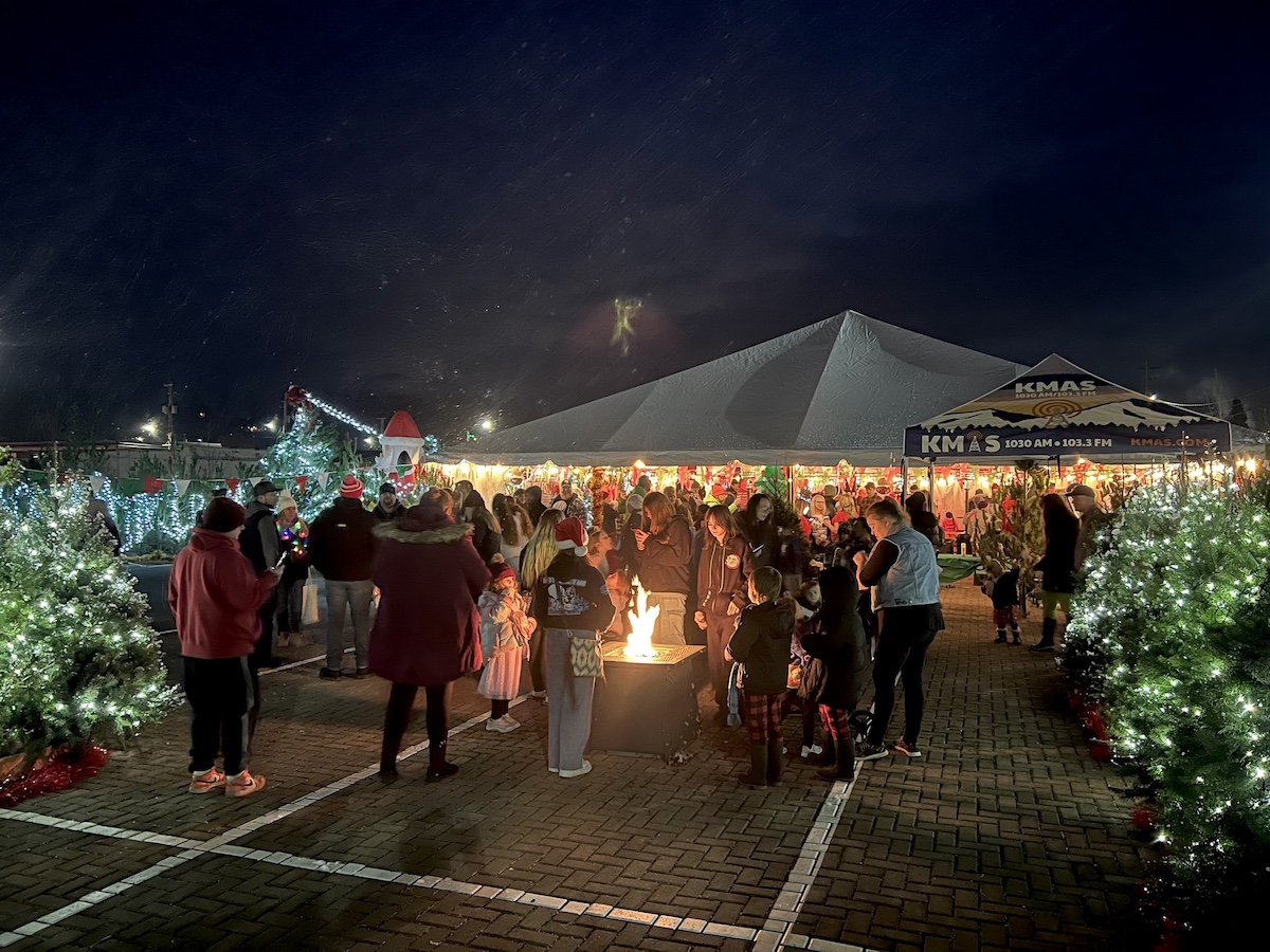 Festival of the Firs