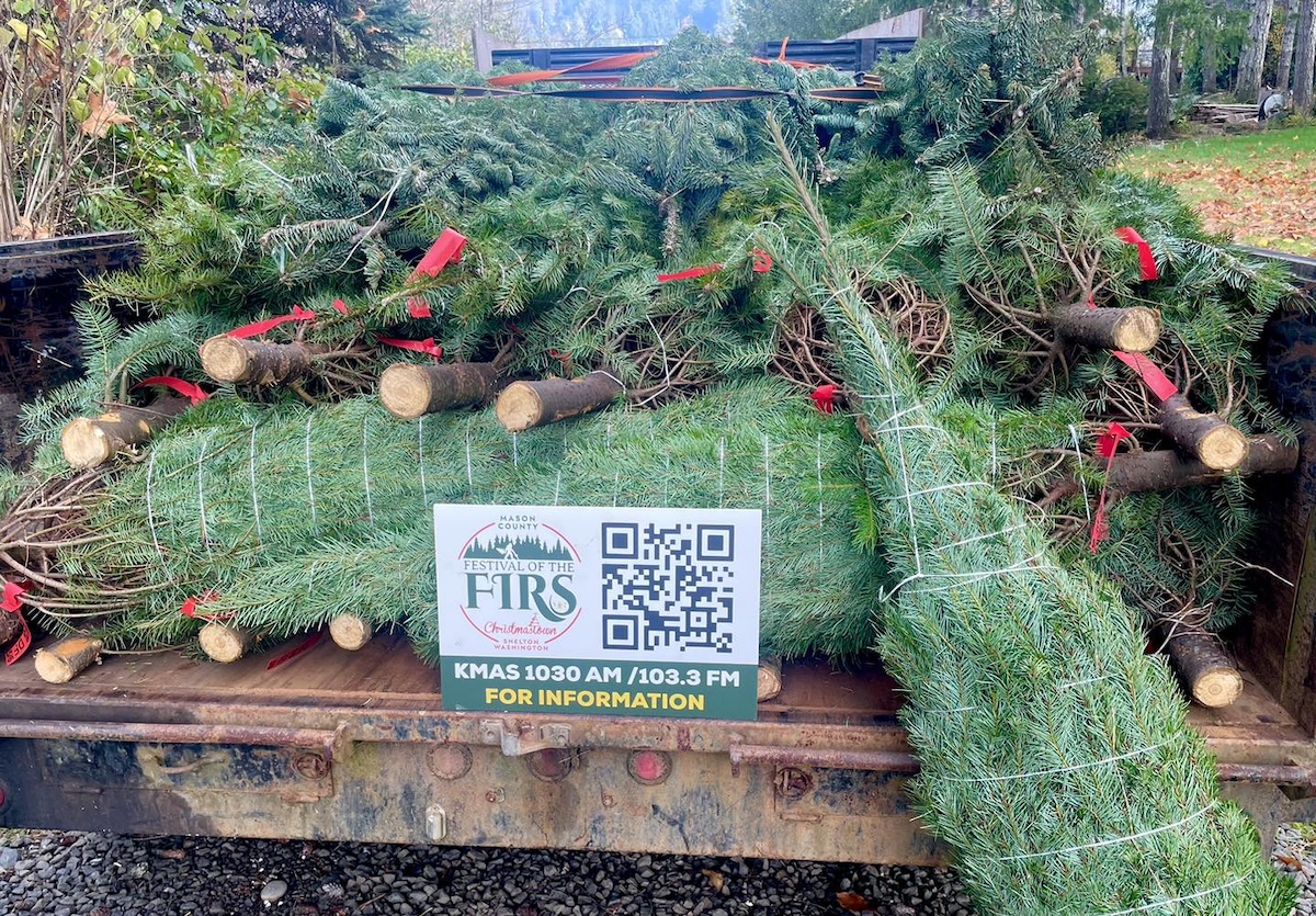 Festival of the Firs