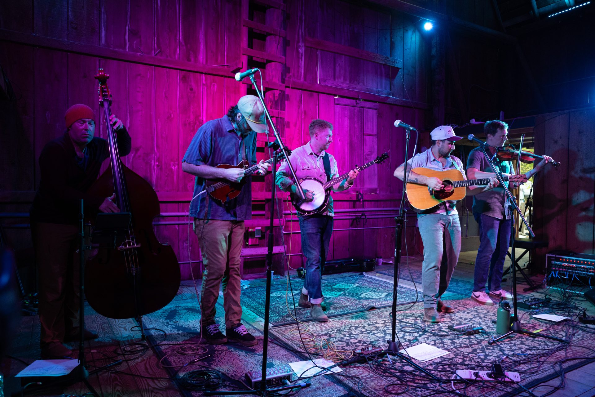 Bluegrass From The Forest