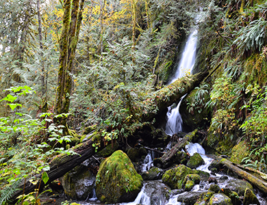 Merriman Falls