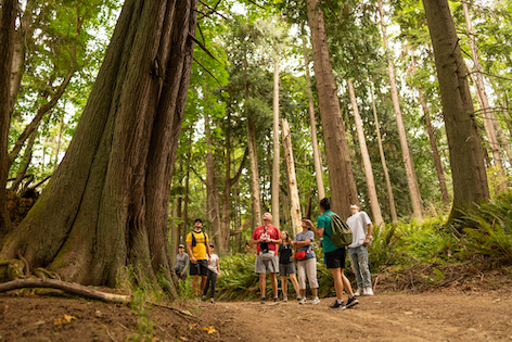 Guided Nature Walk