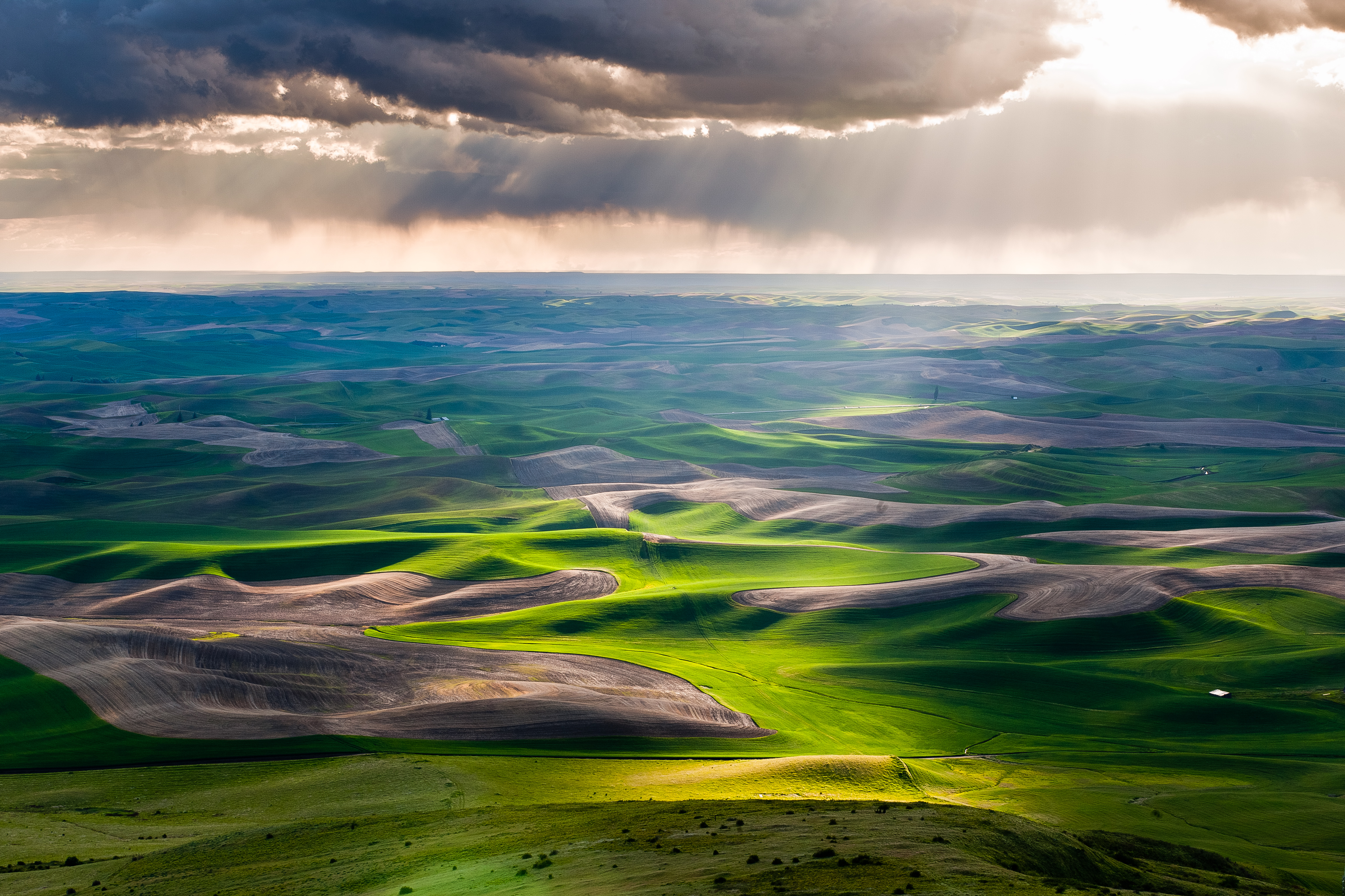 Palouse Hills