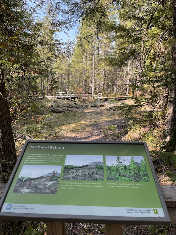 Trail of Two Forests