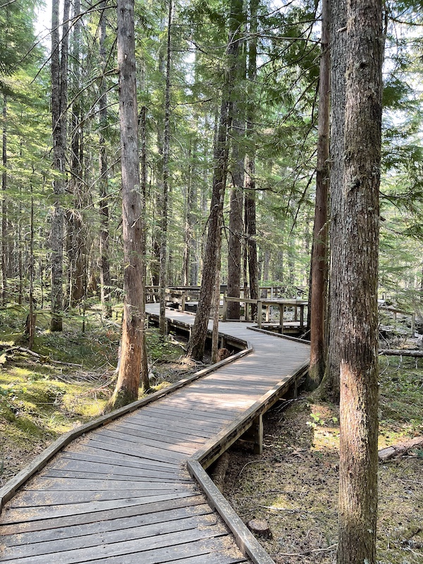 Trail of Two Forests