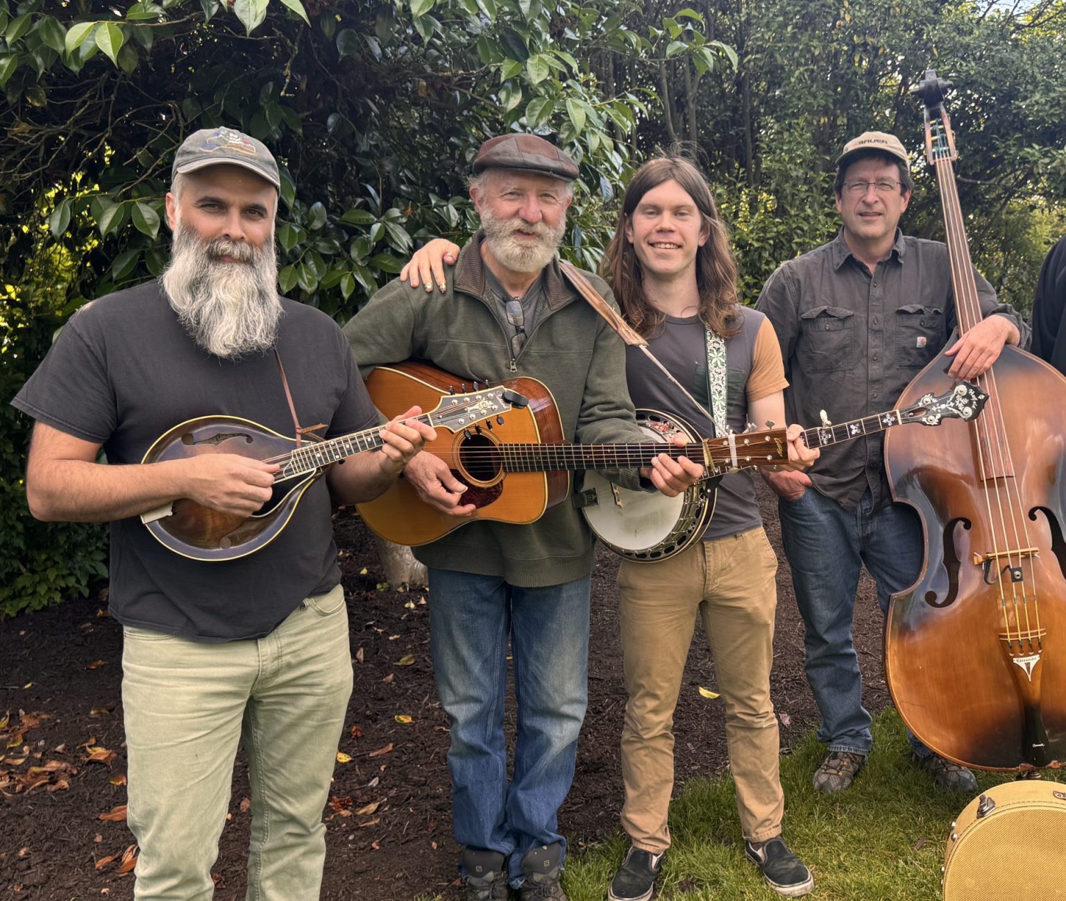 Bluegrass From The Forest