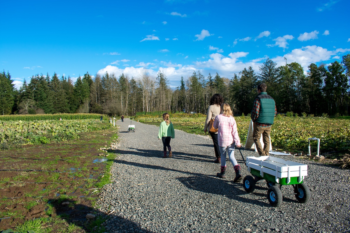 Visit Bellingham