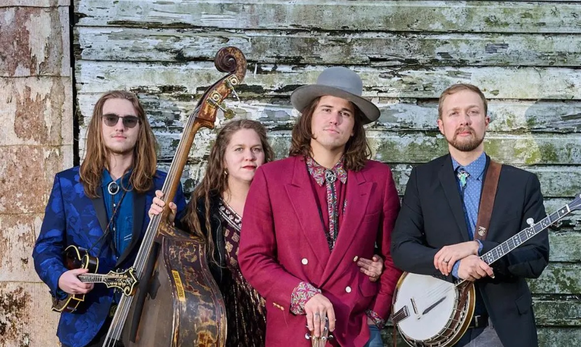 Bluegrass From The Forest