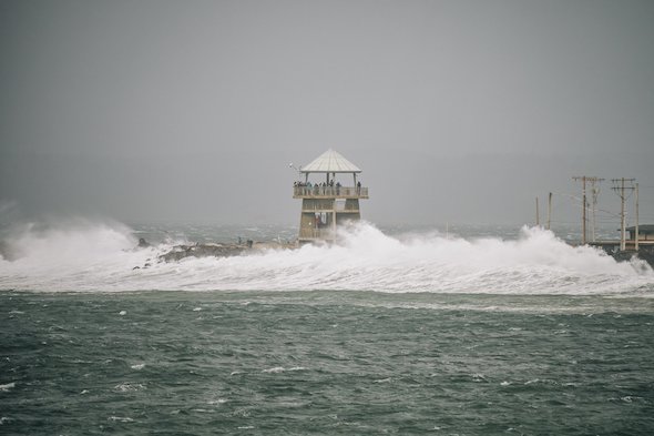 Westport Storm Watching