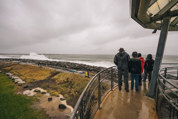 Westport Storm Watching