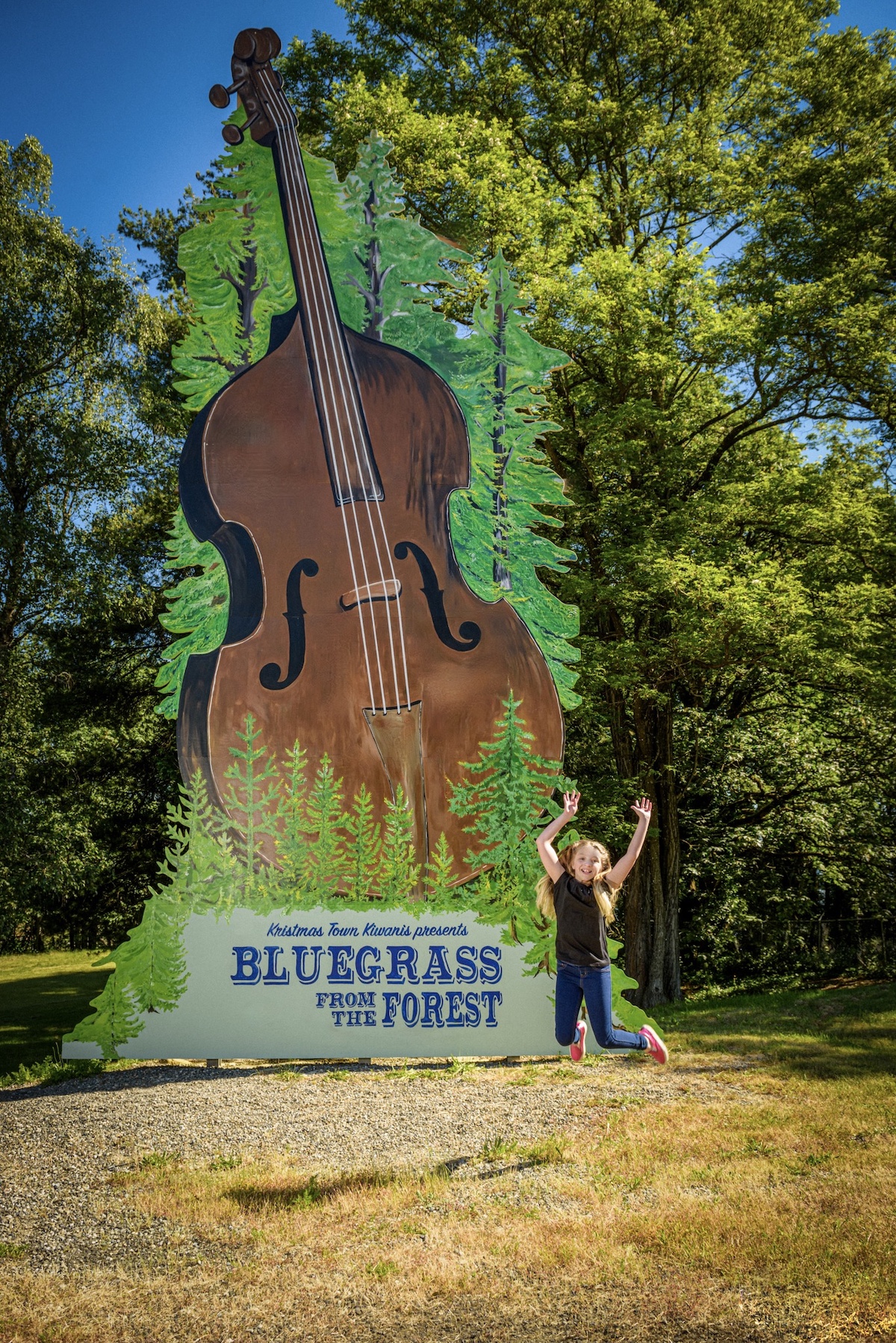 Bluegrass From The Forest