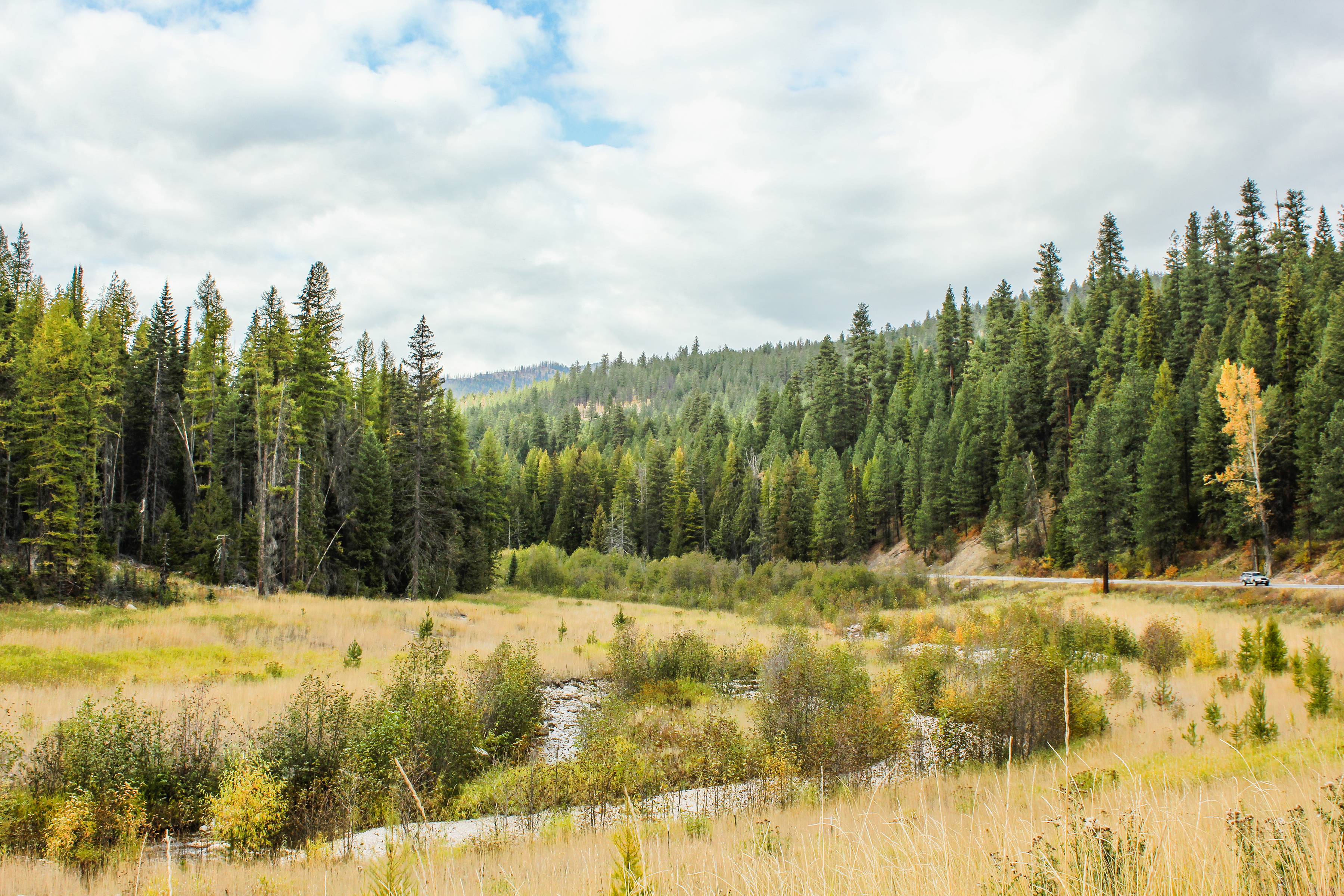 Northeast Washington