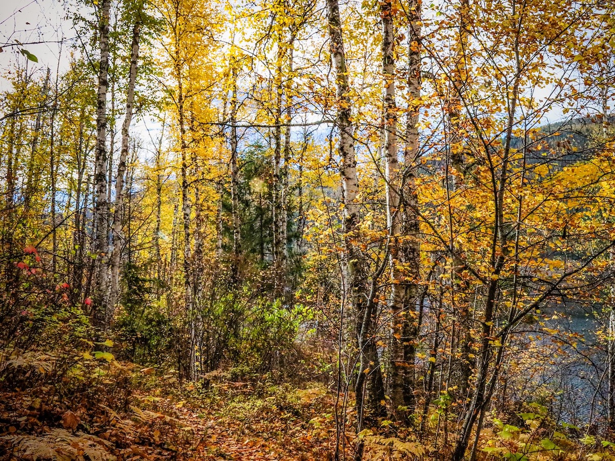 Northeast Washington