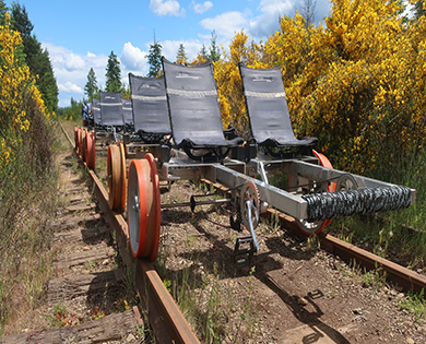 Vance Creek Railriders