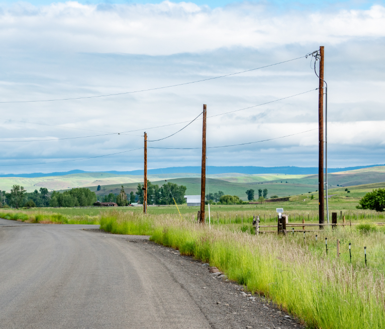 listings in enterprise