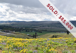 0 Lot 5 Deer Valley Drive