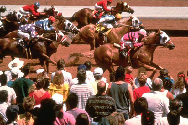 horses racing