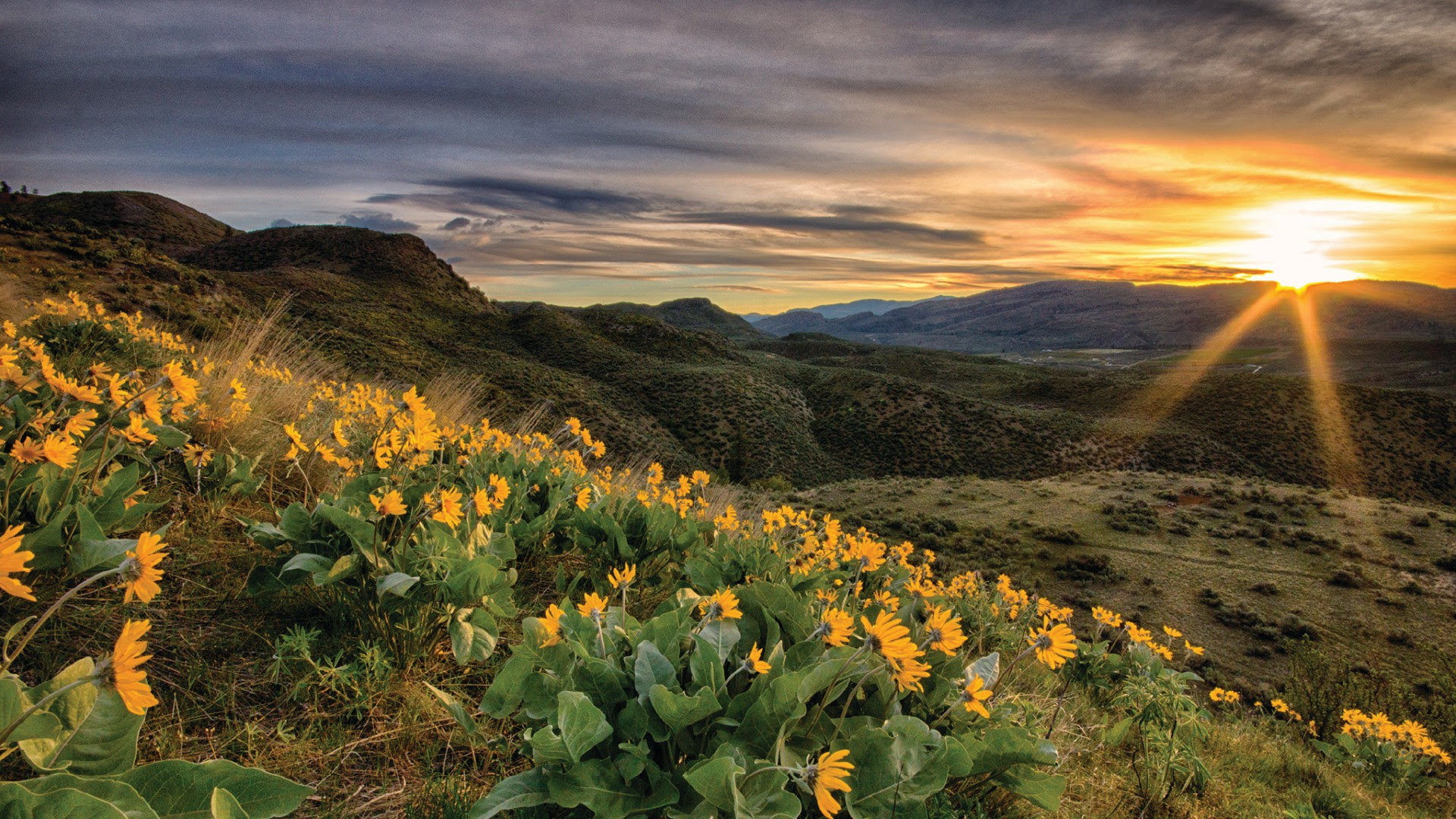 Wildlife Viewing and Photography in Okanogan County