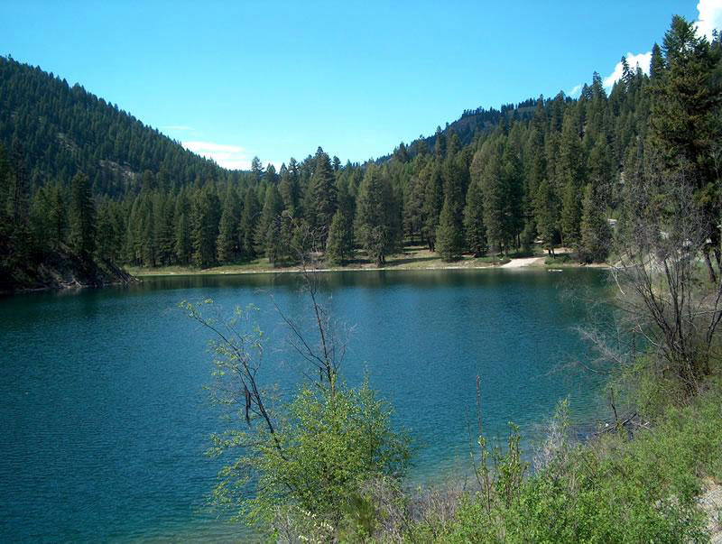 Beth & Beaver Lake Campground | Fishery of the Month