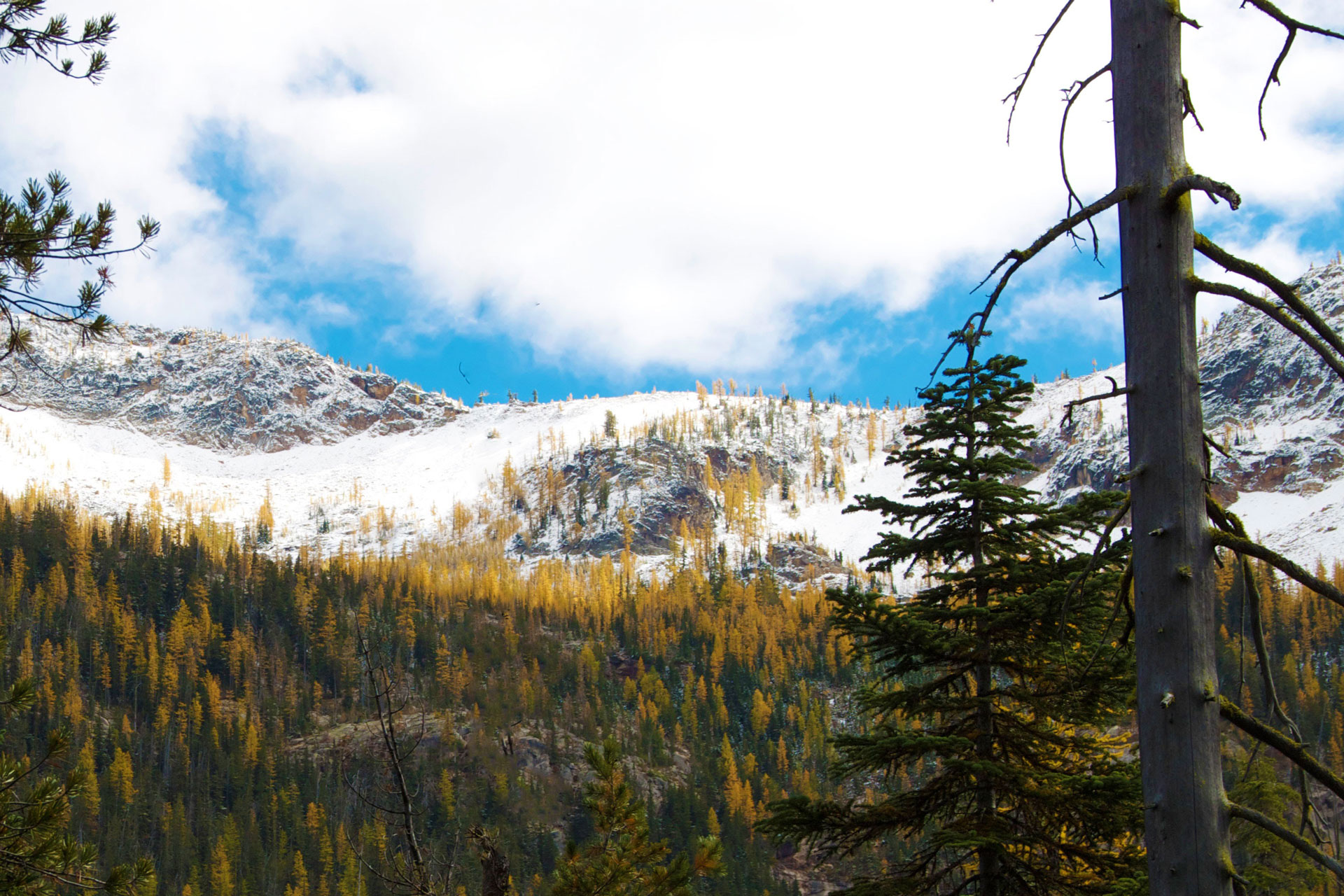 okanogan national forest camping