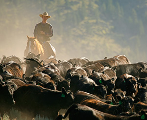 methow lodging