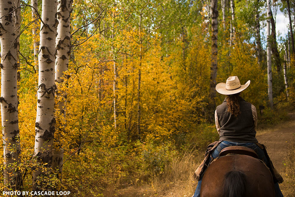 methow valley accommodations