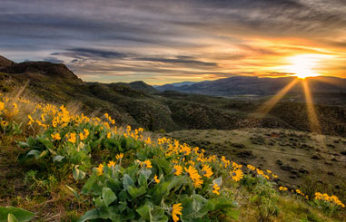 Enter to WIN your Adventure!