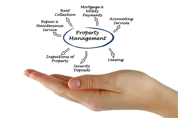 property management