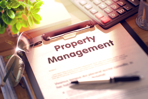 olive branch realty and property management