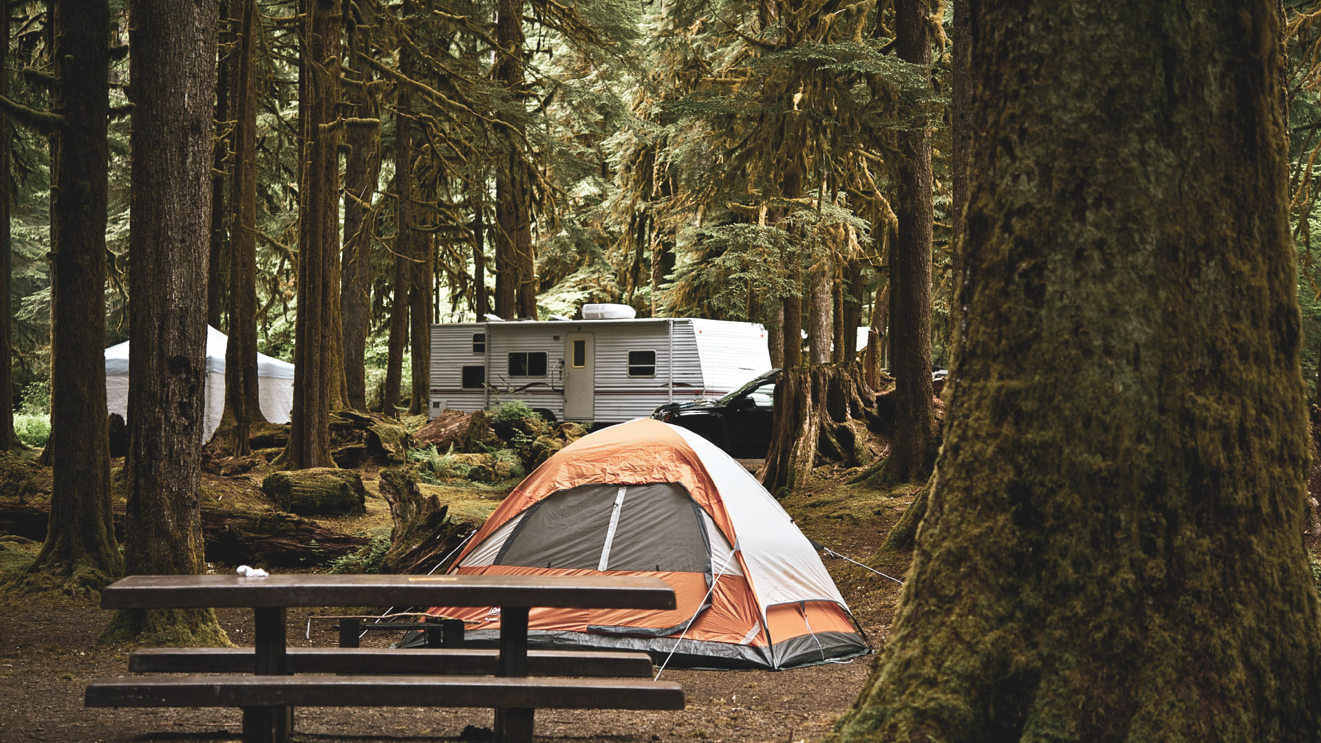 Chelan RV Rentals photo 3