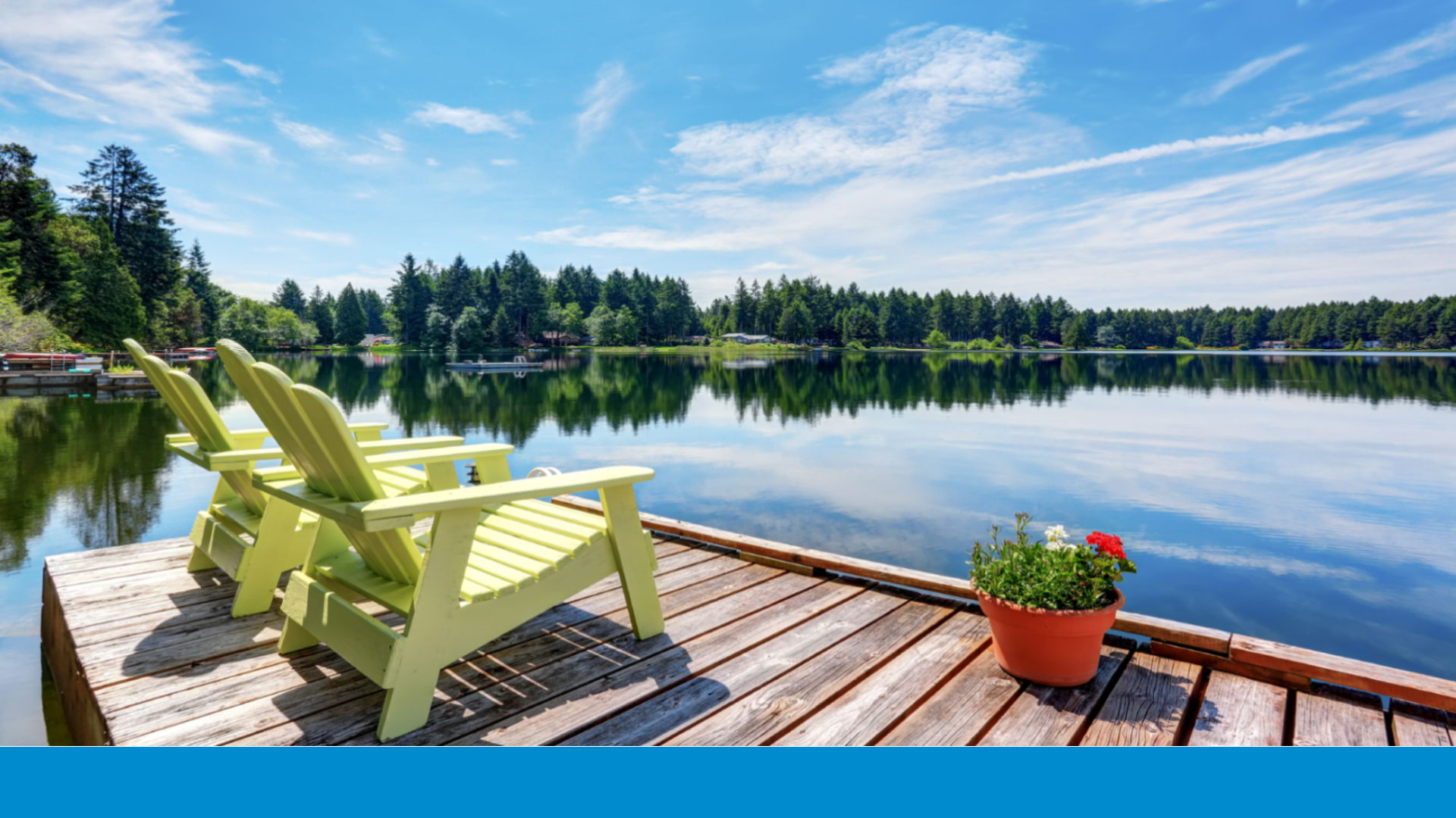 Wendy Lynn Rogers Lake Cypress Springs Real Estate Homes for Sale